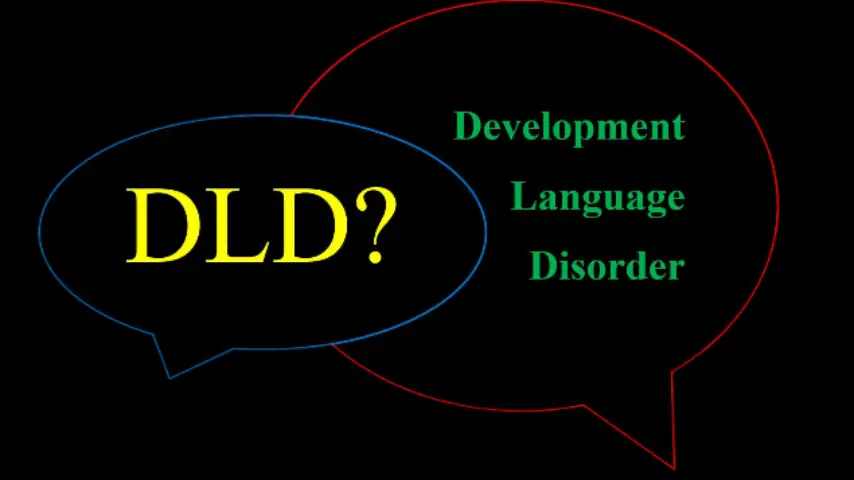 Developmental language disorder (DLD)